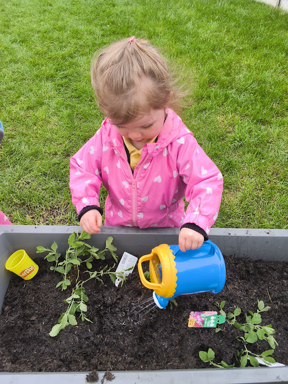 World Plant a Vegetable Garden Day